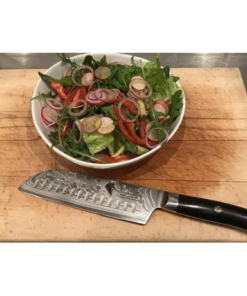 Griphinity - Pegasus Series 7 tum Santoku Kniv